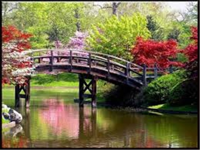 Amazing South